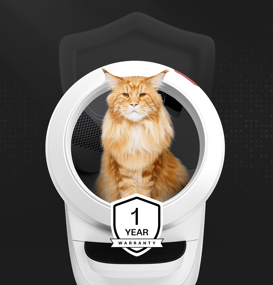 Maine Coon inside white Litter-Robot automatic litter box