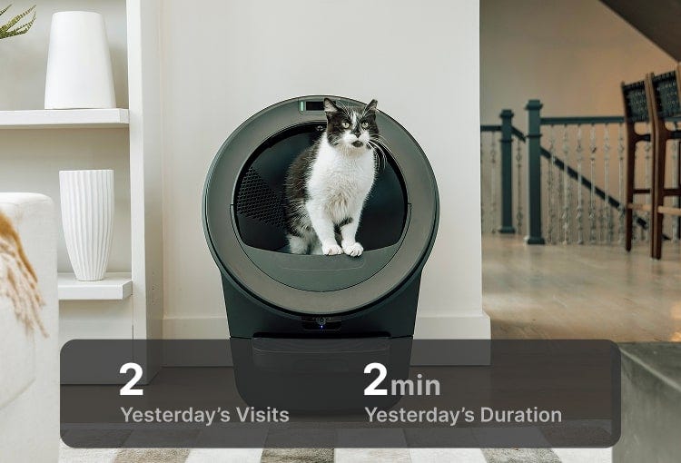 Cat visits Whisker app