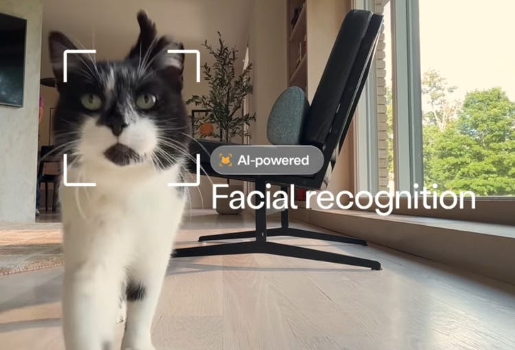 tuxedo cat detected by Litter-Robot 5 pro camera