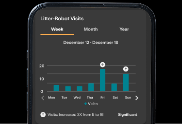 Patterns app feature analyze cat data