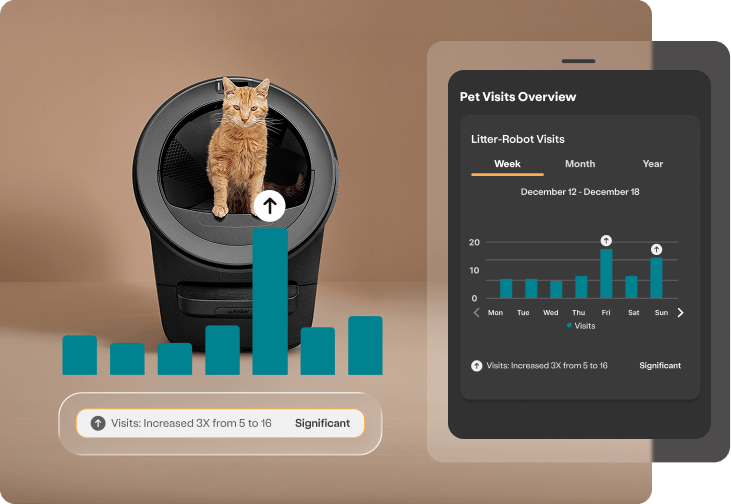 Whisker plus app Patterns analyze cat data