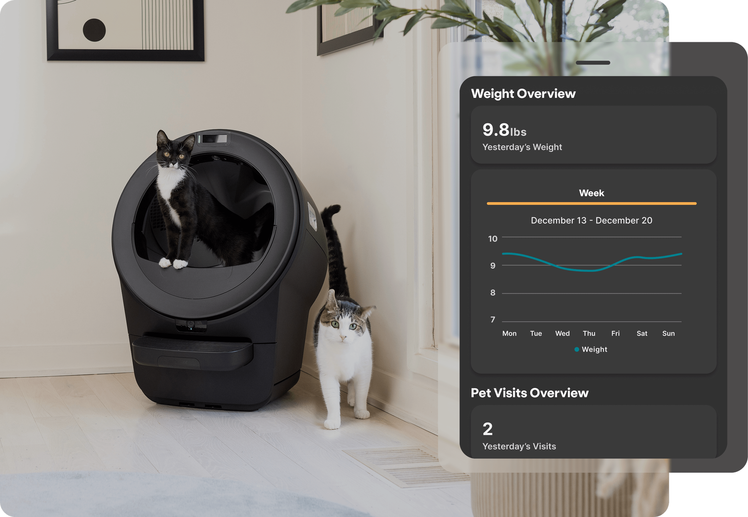 cat weight chart in the whisker app