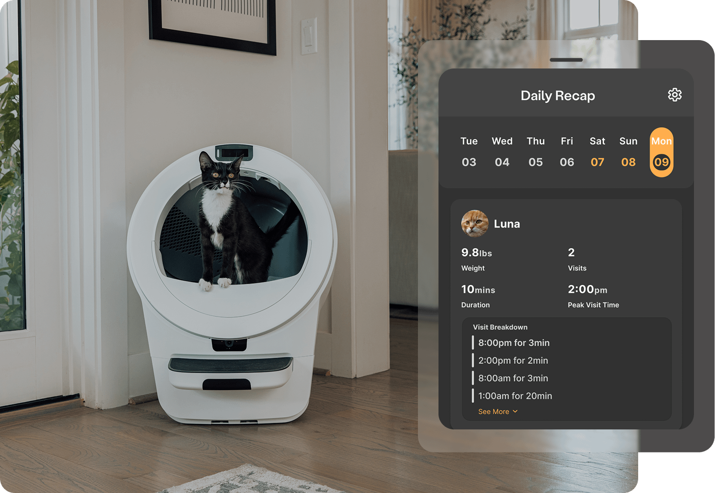 Whisker plus app insights into daily cat litter box visit