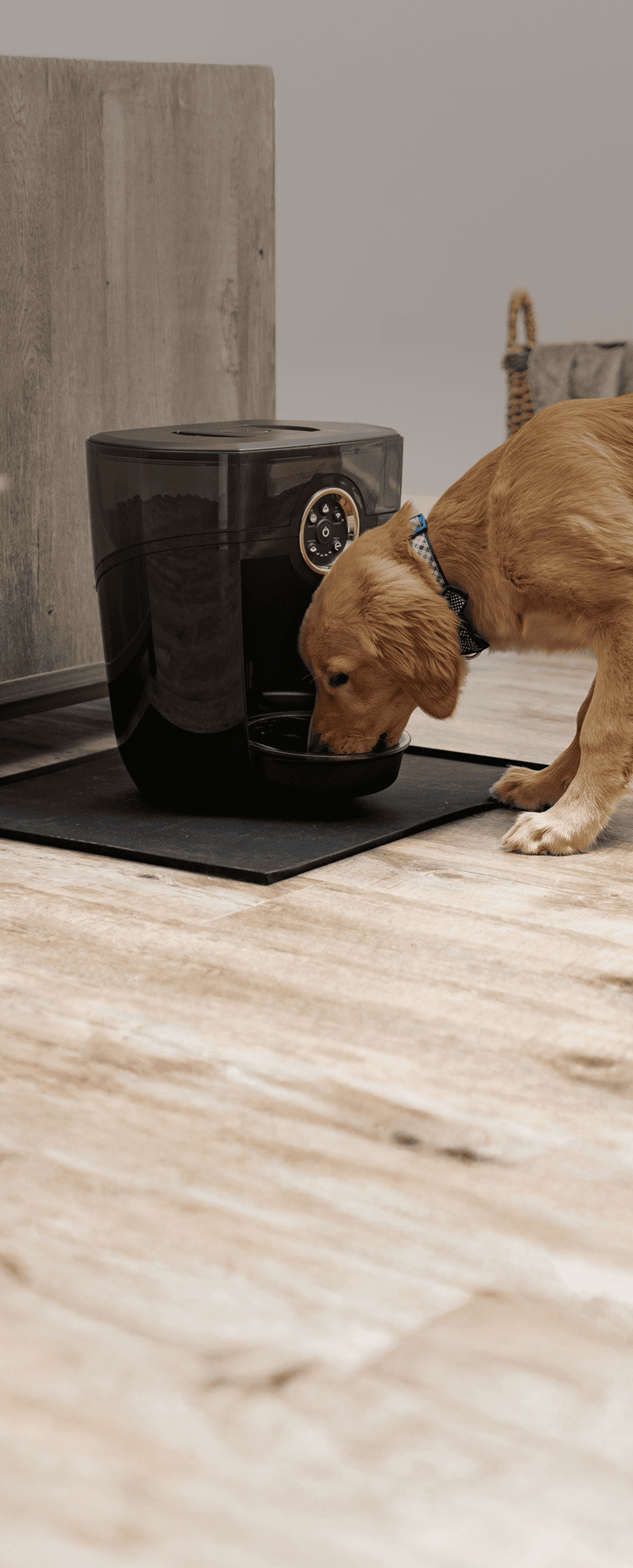 Dog eating out of a feeder robot