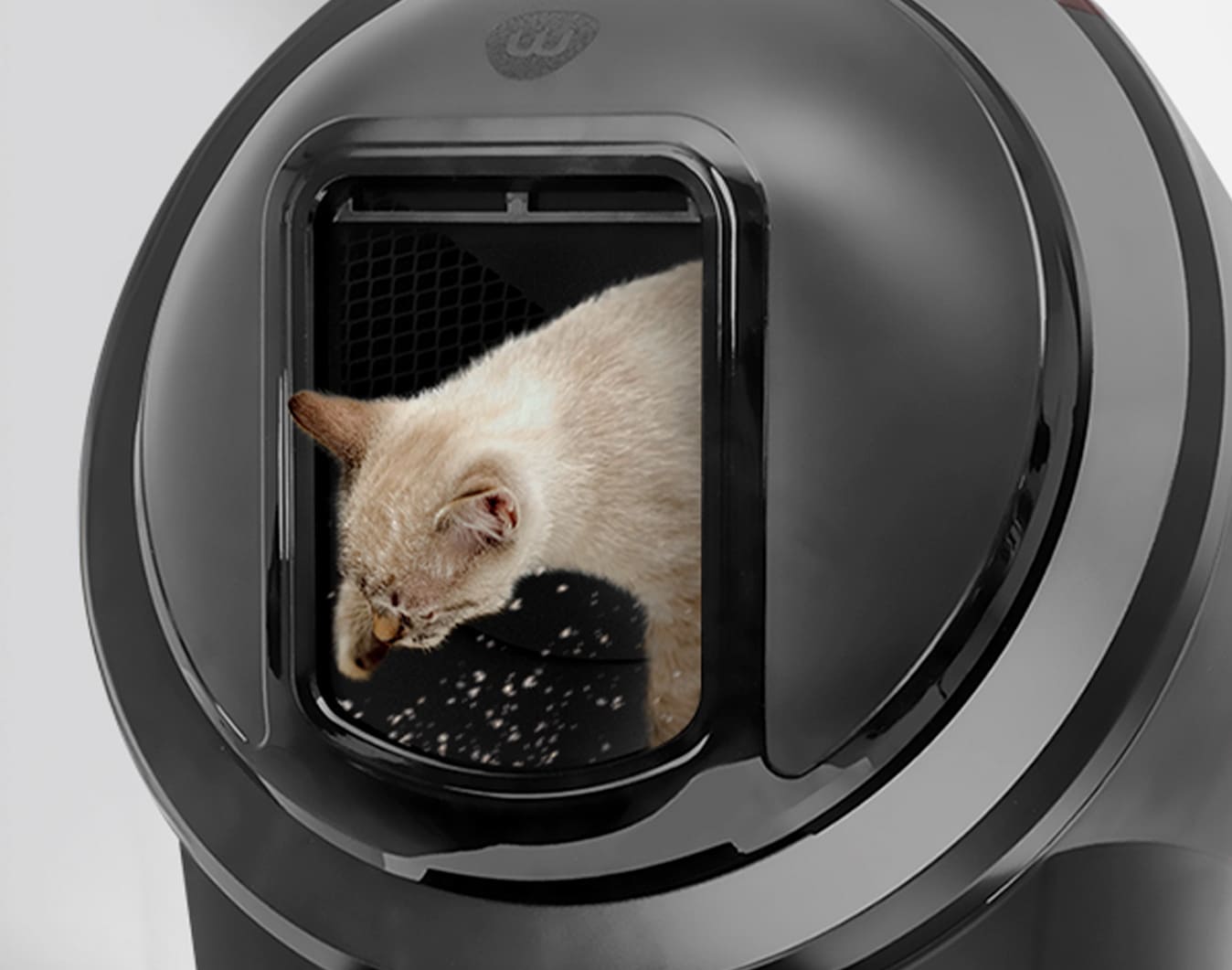 Cat kicking litter inside globe with Shield attached