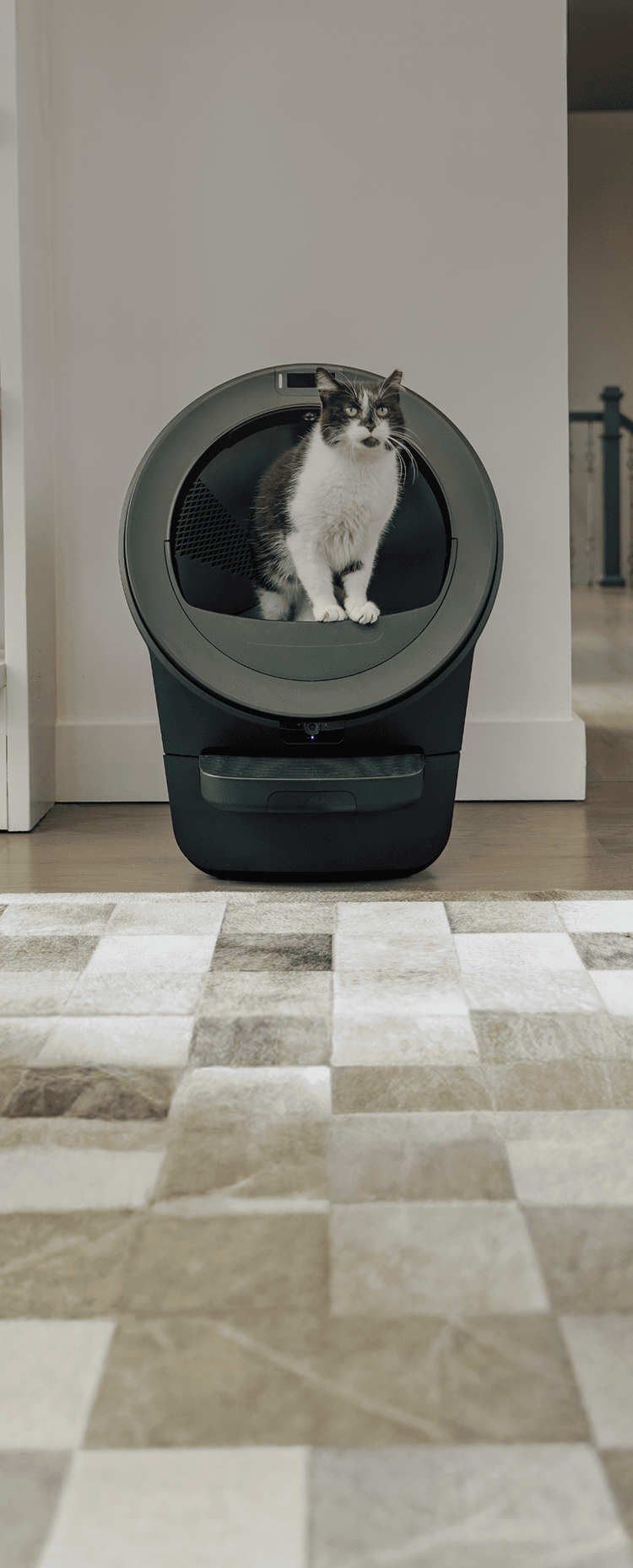 tuxedo cat in Litter-Robot 5 Pro