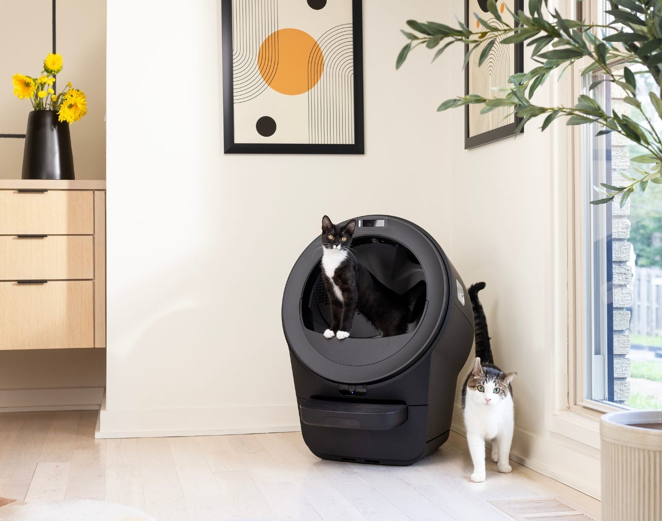 WhiskerCare® is worth it