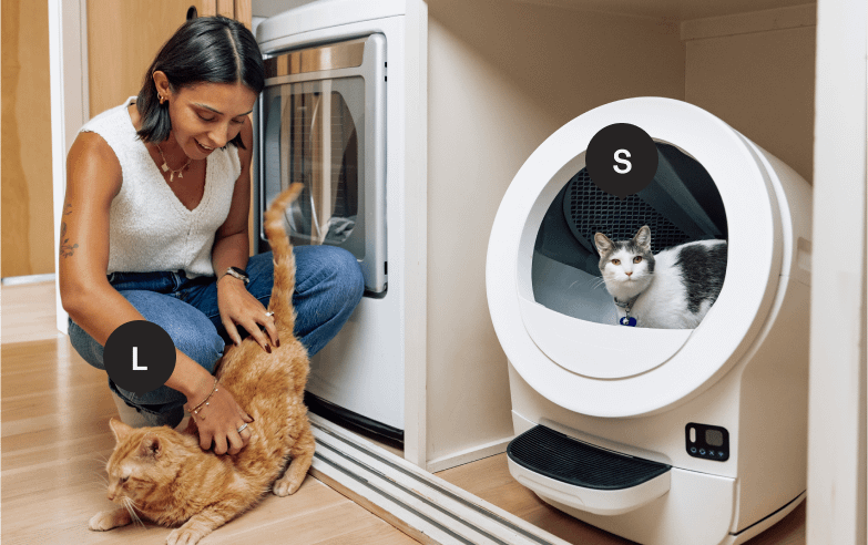 Cat size guide