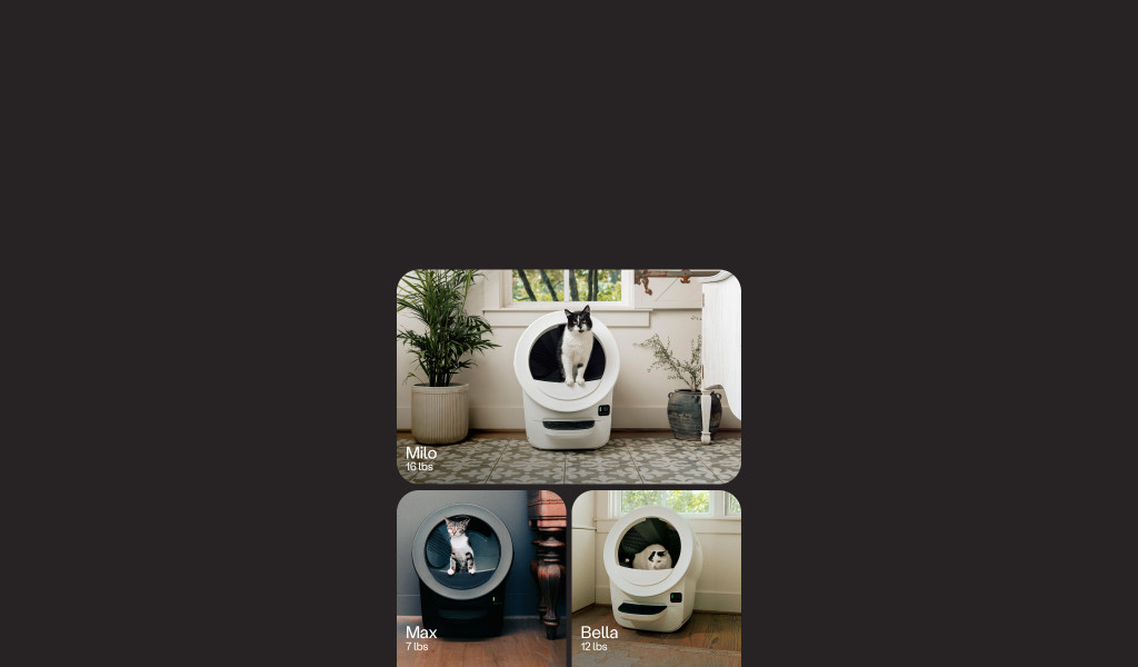 Litter-Robot Evo automatic litter box in multiple home settings
