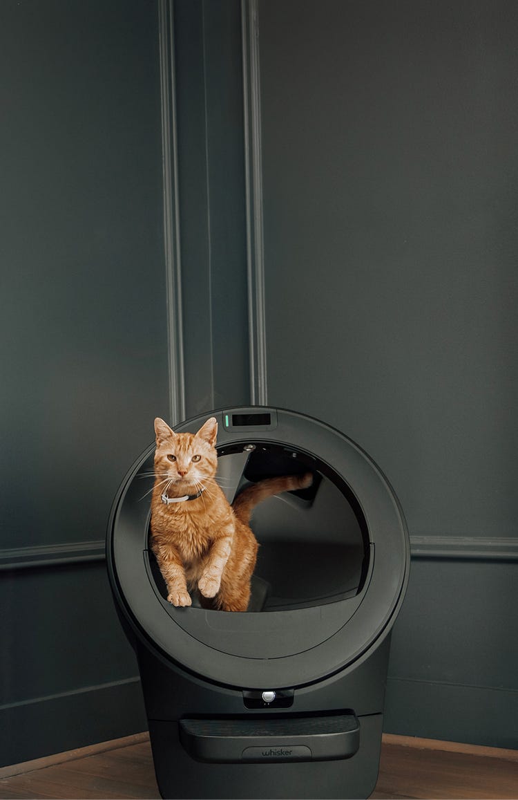 Cat with cat collar and pettag inside litter-robot 5 pro automatic litter box
