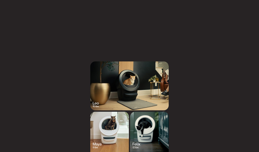 Litter-Robot 4 automatic litter box in multiple home settings
