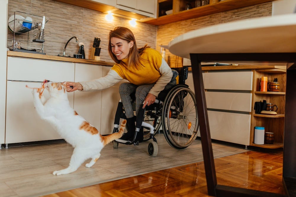 woman in wheelchair uses wand to play with cat